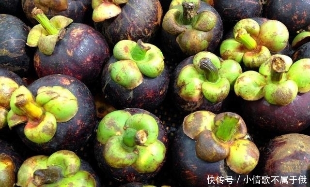 果农|买山竹,不管大小就挑“母”的,果农记住这4点,一挑一个准