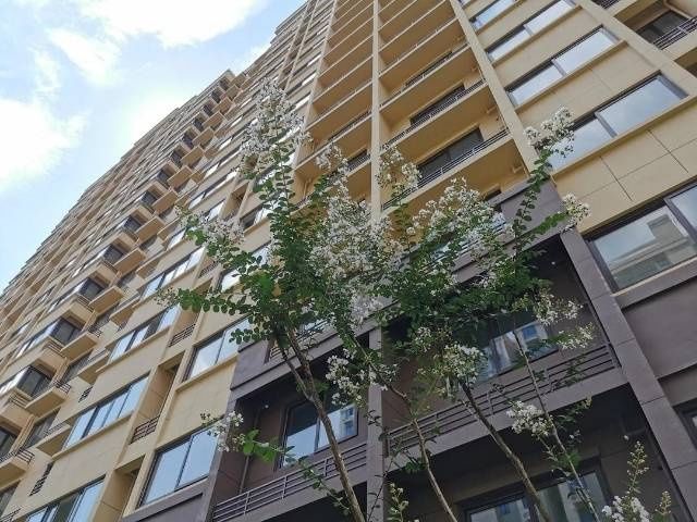 交付|宝山美罗家园蓉庭竣工待交付