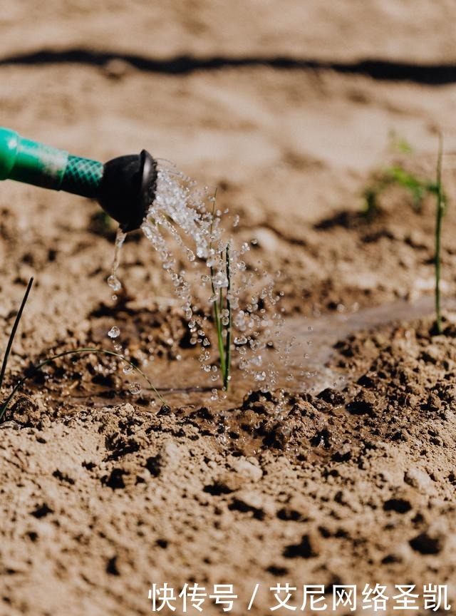  嘲笑|晚唐诗人的一首怀古诗，嘲笑秦始皇焚书，更深的绝望却在等着他
