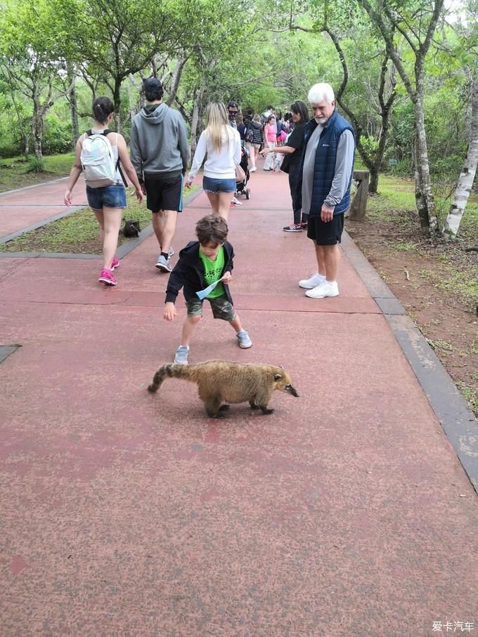 老年|震撼灵魂之旅