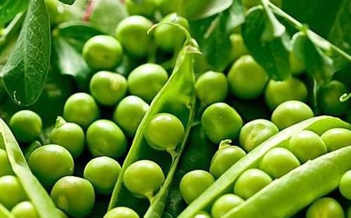 女性“大姨妈”时,多吃4种食物,排出毒素,调节月经,预防早衰