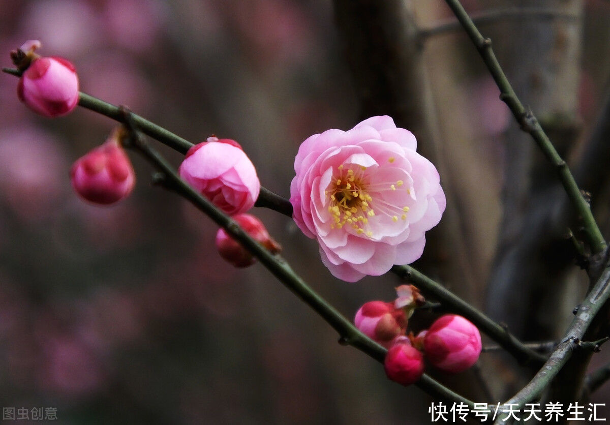 明日立春，老年人可以这样“补”，身体健康，更舒服