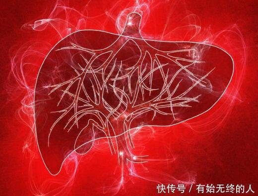 肝脏|肝脏“保护者”出现,不是枸杞,坚持吃对肝好