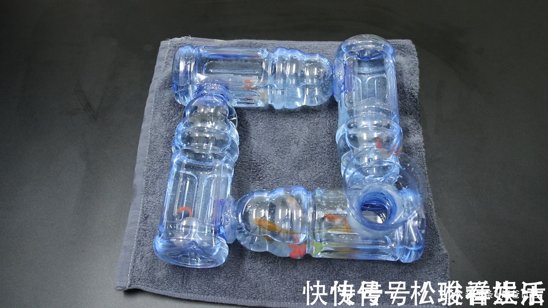 四方形|用5个塑料瓶制作一个四方形的小鱼缸，这个废品利用，太棒了