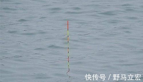 野钓调漂实用套路:双调目,钓区间,野钓调漂就用这招!