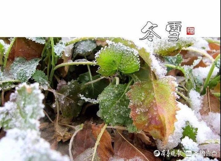 风雨送冬归 飞雪迎春到︱我在无棣古城等了一场冬与春的邂逅