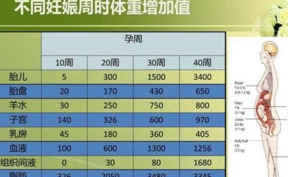 孕妈|孕期体重增长多少比较合适?三张表格让孕妈们心中有数