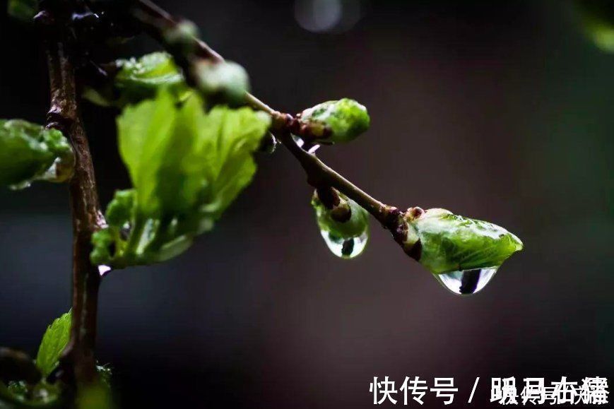 春夜喜雨$杜甫很经典的一首咏雨诗，开篇就是名句，历来为人称道