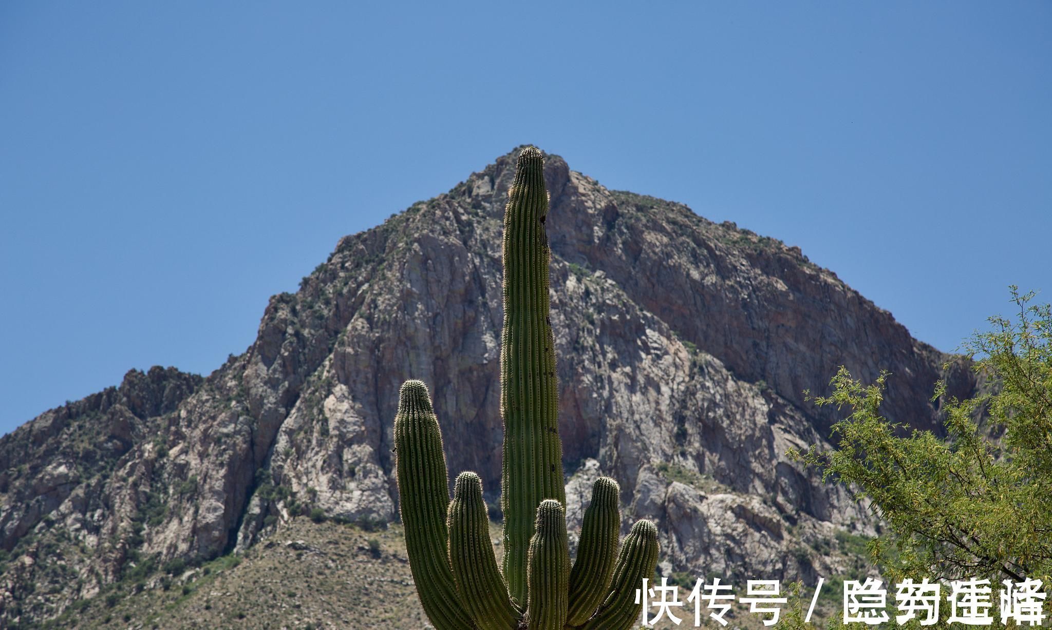 颈联@唐代诗僧的一个古怪行为,在这39首诗中得到诠释,原来这叫个性