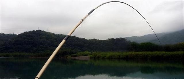 挂草|鱼钩挂底、挂树、挂衣服,别着急,这样处理,很快就能搞定