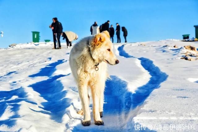 天山深处有个寂静而又温暖的“冬窝子”叫做阿克塔斯冬牧场