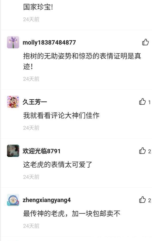 怎么评价某鱼里的这群人,还让人好好买东西?