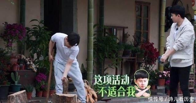 向往的生活|偷懒油腻又世故,明知不正确还要尬笑,李诞和陈赫是拿错剧本了?