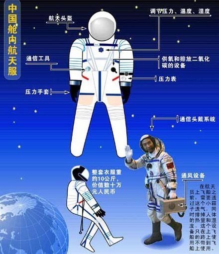 致命弱点 同样裸露在太空,人类仅存活15秒,水熊虫淡定产崽,为何这么强