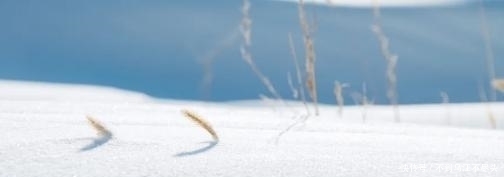 皮肤状态|女人皮肤状态不好?专家提示:改掉这几个习惯,美白又淡斑