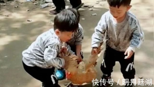 三胞胎|宝妈带三胞胎回娘家,三胞胎正合谋杀鸡,妈妈进门看到乐坏了