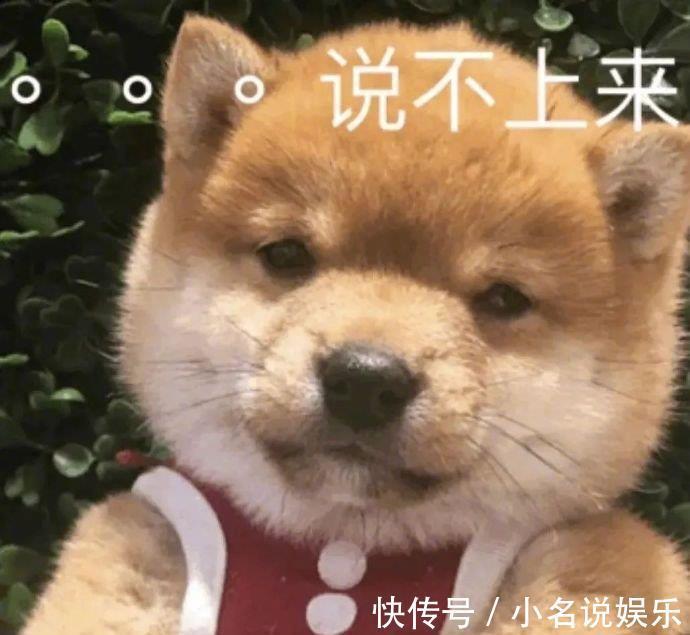 霍尊|得罪4个节目,60多号艺人,霍尊的回应还有用吗