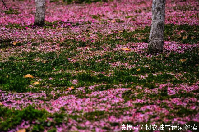 春草@赏读李煜《别来春半》,落花如雪,春草如愁,离恨如水