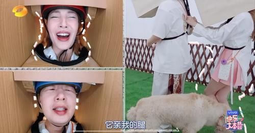 gif|取代谢娜3个月后,网友:因为她《快本》变好看了!