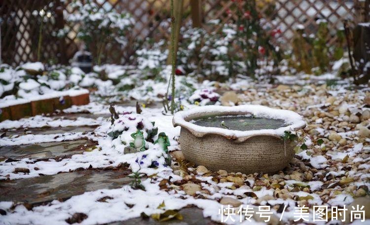 小院|荒废多年的80㎡小院,2年半时间打造成下沉式花园,太漂亮了!