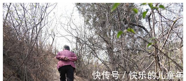 老伴|一段极度扎心的真实故事,希望给父母们敲响警钟!引以为戒