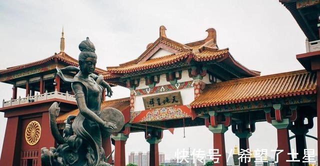 宝莲寺|千年古寺里一家藏满“猫”的素面馆，感受不一样的宁静与淡泊！