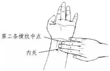 冠心病|按揉这三个穴位,拯救心脏健康!