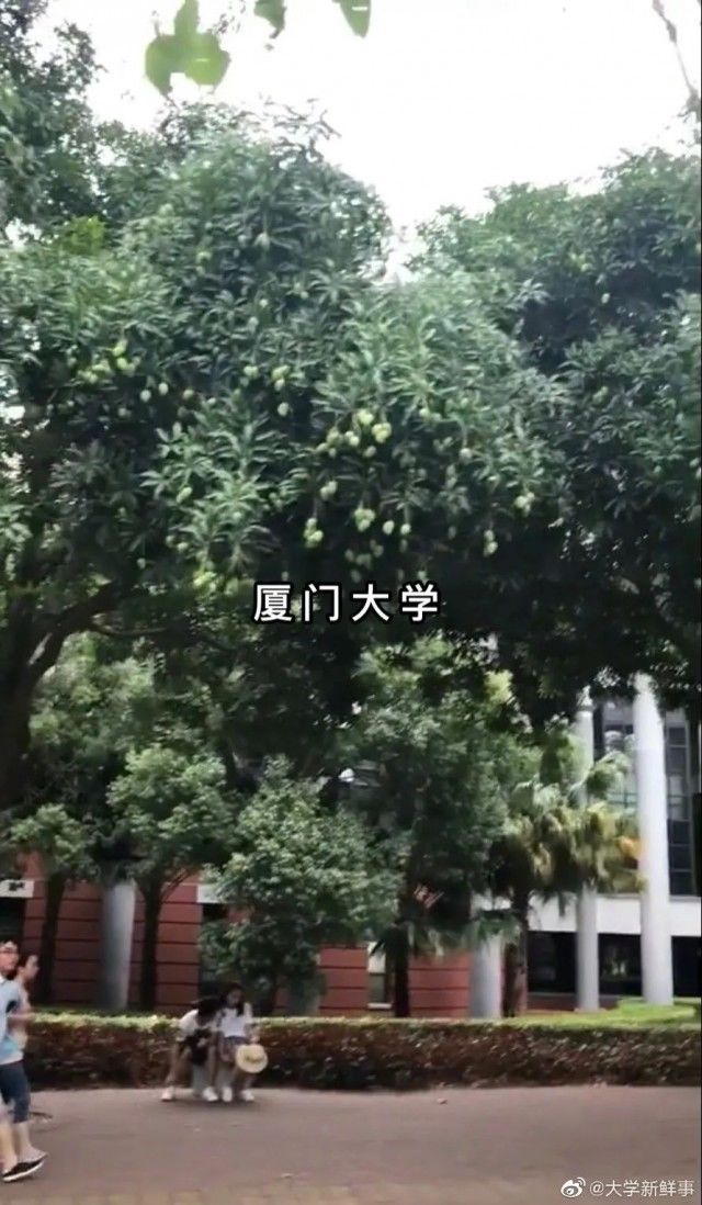 过目不忘|魔性？上头？过目不忘！各地高校招生简章，火爆来袭……