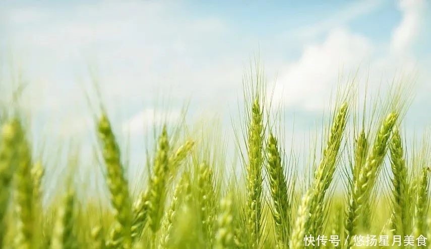 有一“碗”面的味道,叫做宁夏人的念想