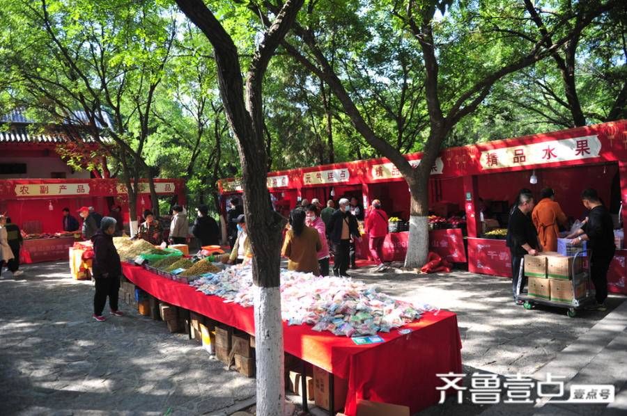 美味|千佛山美味飘香，重阳山会赶起来