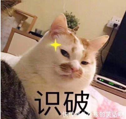 |在游乐场你见过哪些搞笑的设施?网友:这算吗,哈哈