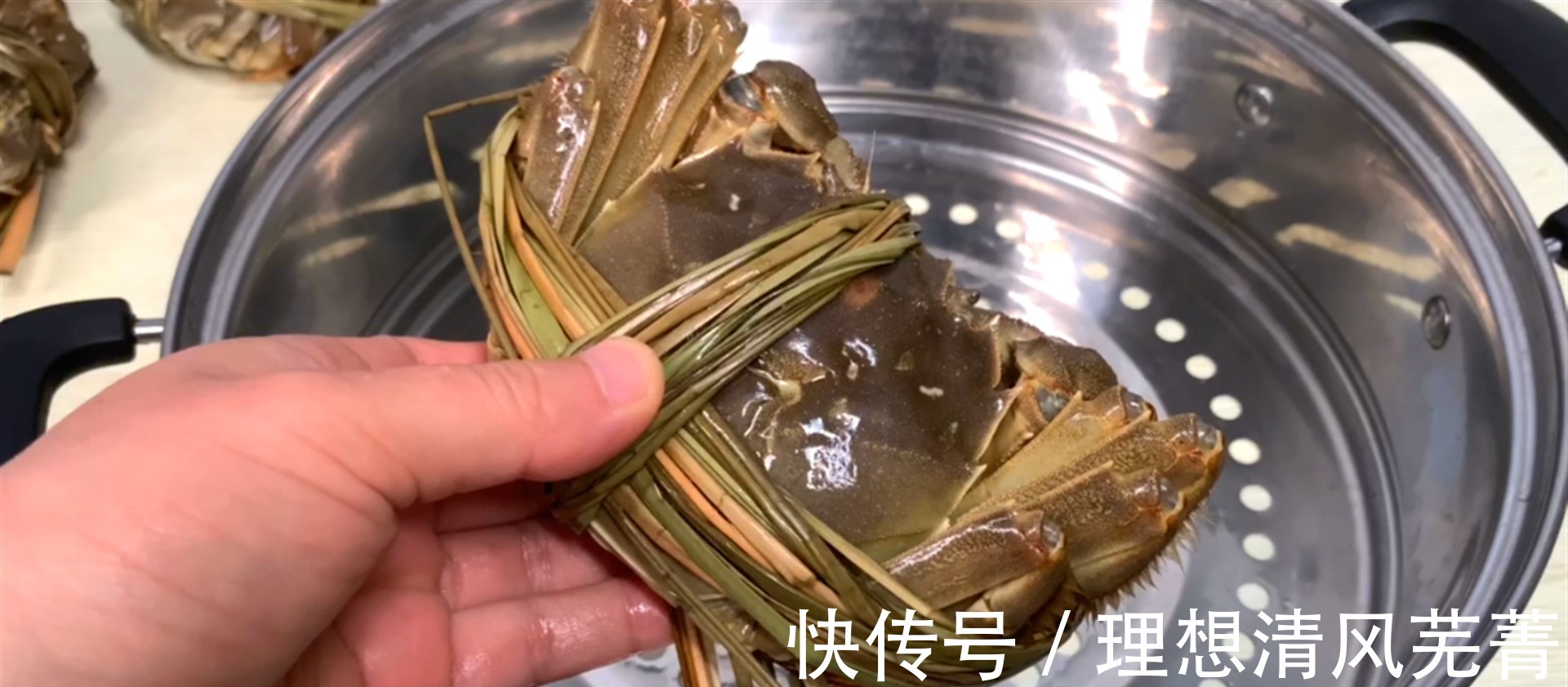 梭子蟹|蒸大闸蟹时,用冷水还是热水多数人做错,难怪螃蟹流黄腥味重!