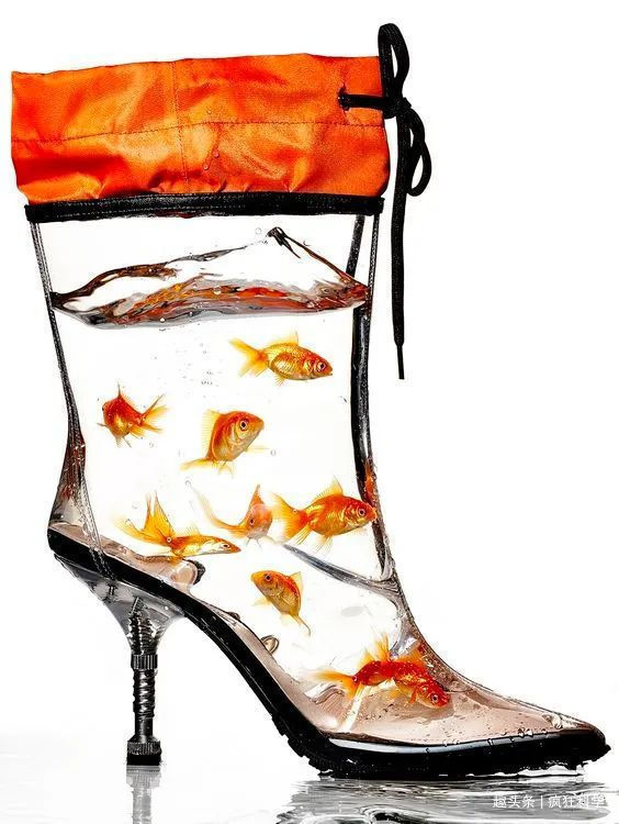 纯天然@一组脑洞大开的奇葩鞋子,设计师的创意实在让人看不懂!