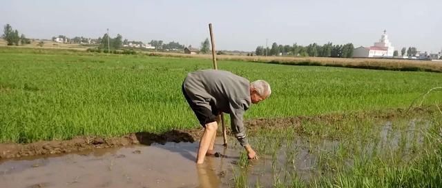 两人|“有钱不进三地，没钱莫进两人”，牢记老祖宗的忠告，受益无穷