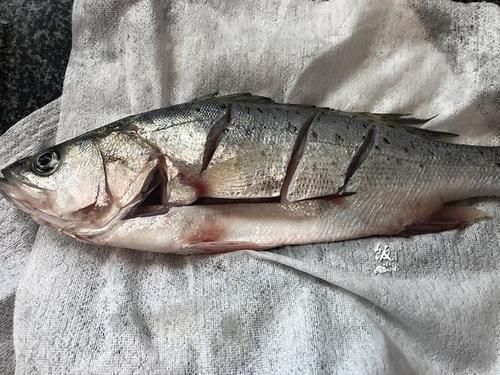 鱼肉|红烧海鱼时,记住“4个1”,做出来的鱼肉没有腥味,鲜嫩好吃