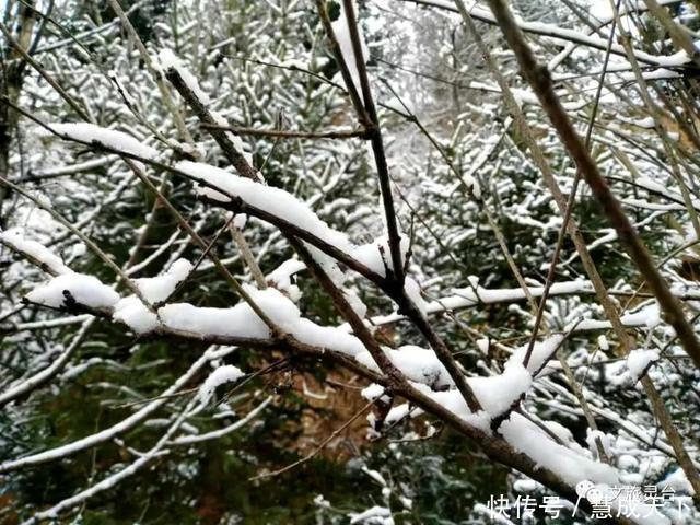 相约|相约灵台的冬季