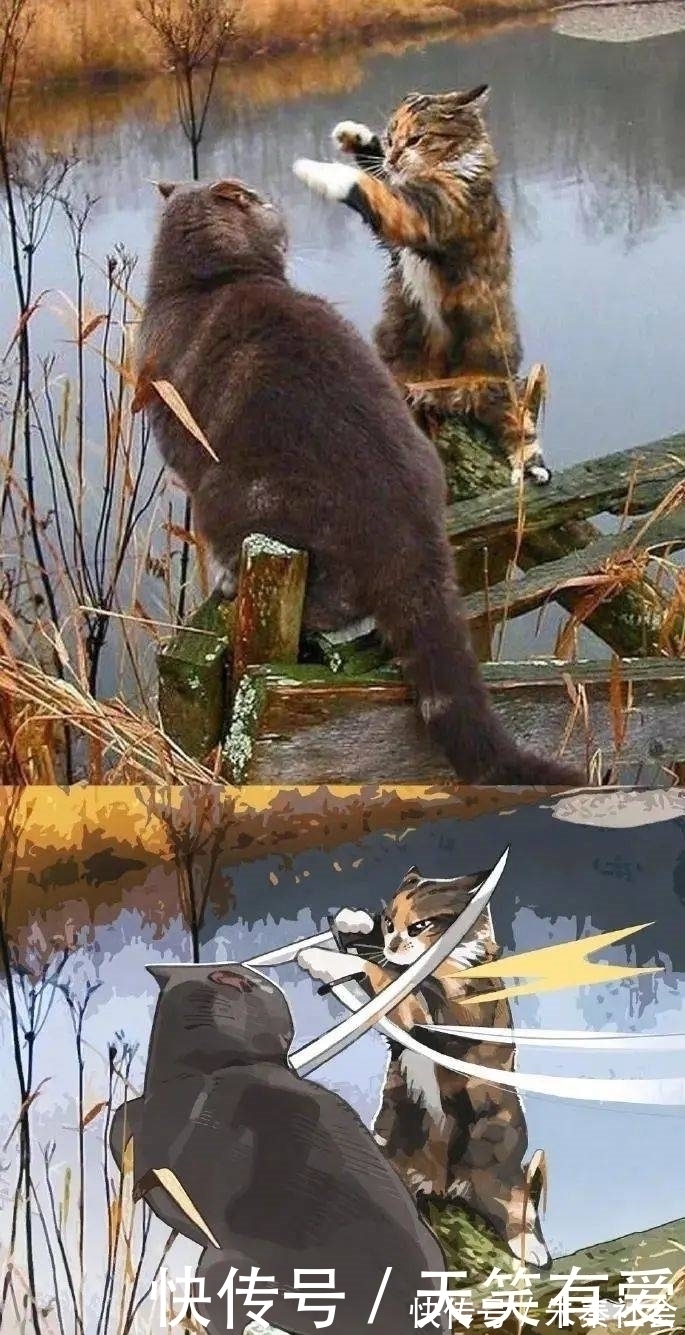 小动物|现实中的小动物漫改成二次元后是什么样?太有故事性了吧!