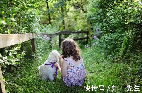 女孩带木字旁取名:牛宝宝喜木取个带有木