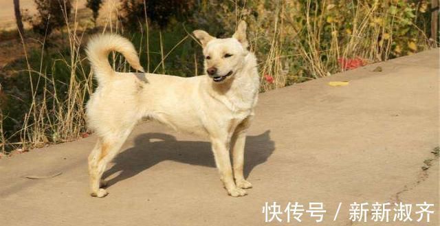 教书先生&不出名却文采飞扬的3副对联,水平很高,让人打心眼里佩服