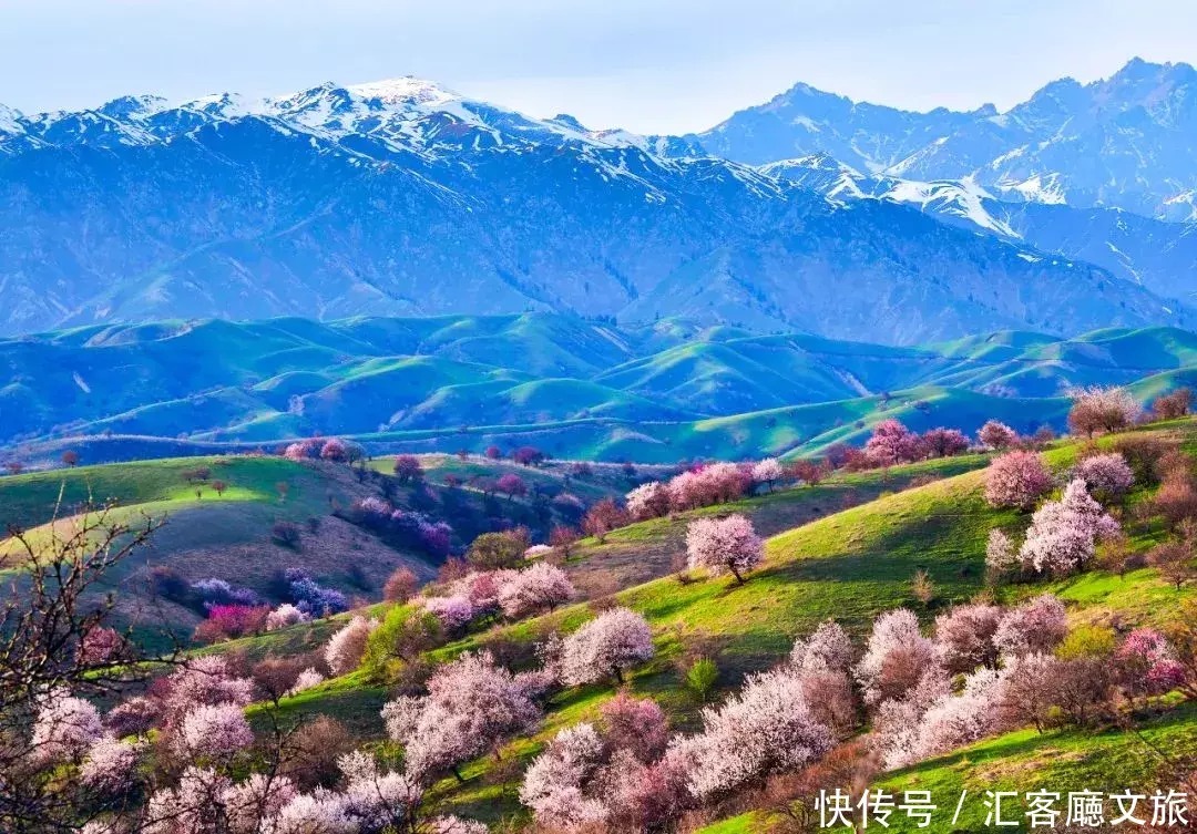 翻雪山穿沙漠，流连异域小镇，寻访新疆烂漫“花火”