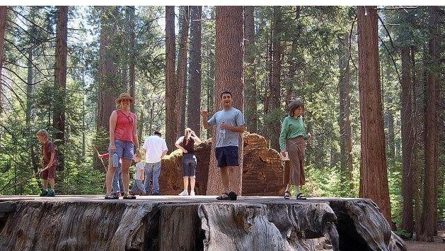 大神经|锻炼会加速衰老?医生:这4种运动方式,养生不成反会伤身