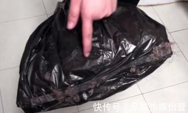塑料袋|家里满地头发太难扫?试试这个超省事的方法,一根头发都见不到!