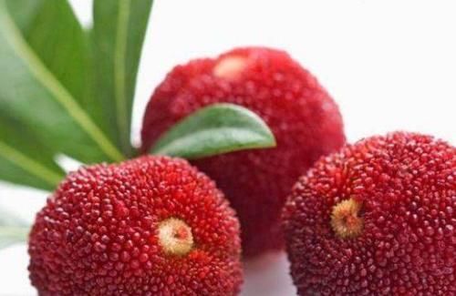 腸胃|女性想要皮膚好，推薦幾種食物，排毒消脂，潤腸通便，清理腸胃