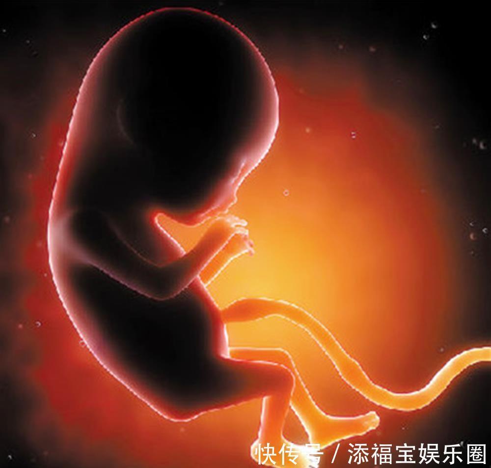 麻药|剖腹产不打麻药“生剖”,真有这种情况吗?为母则刚不是说说而已