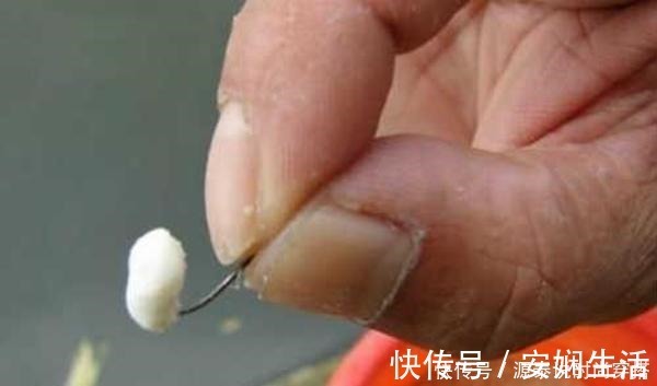 钓大板鲫饵料配方，便宜且简单，关键还是效果好，适合秋季使用！