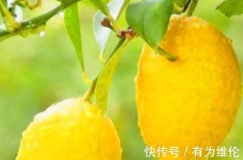 膈食|女人不想老的快,脸上爬满皱纹,3种食物,淡化色斑,美容又养颜