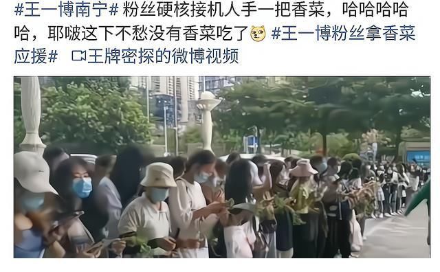 《街舞4》队长微电影,王一博、刘宪华抢香菜,粉丝曾用香菜应援