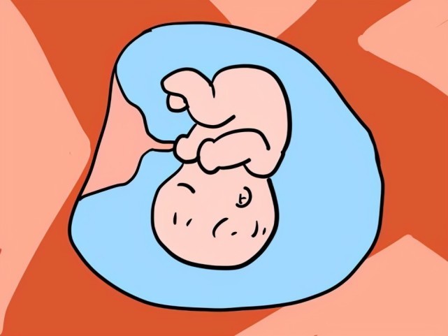 早孕反应|怀孕最佳时间为何是八月前后?