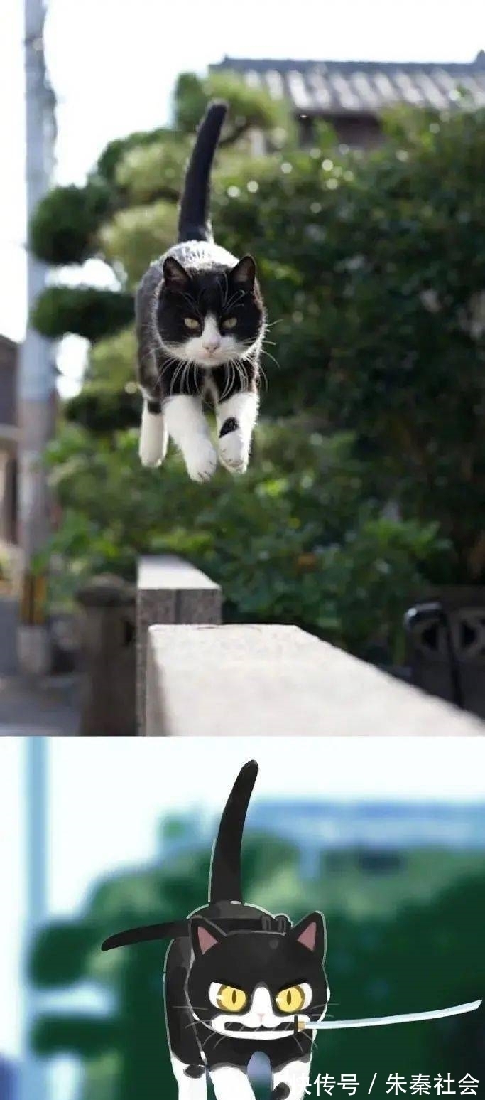 小动物|现实中的小动物漫改成二次元后是什么样?太有故事性了吧!