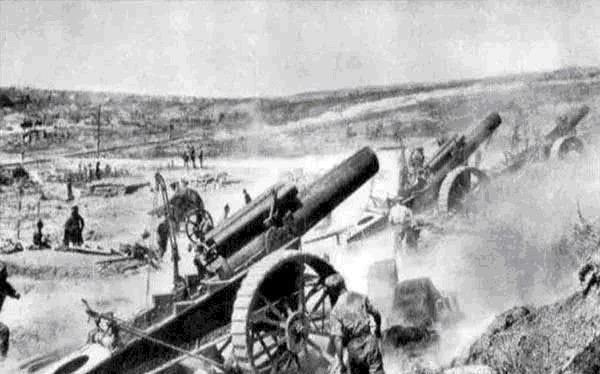 法军|漂亮波斯猫惹一大祸,经常晒太阳暴露主人的位置,被德军乱炮轰死